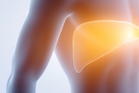 Общий анализ крови с лейкоформулой