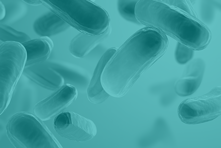 Микроэлементы