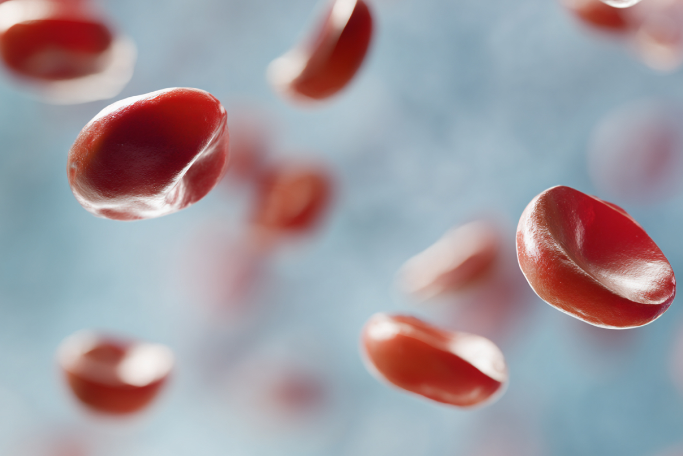 Антитела к вирусу простого герпеса I, II типов (Herpes simplex virus I, II), IgG