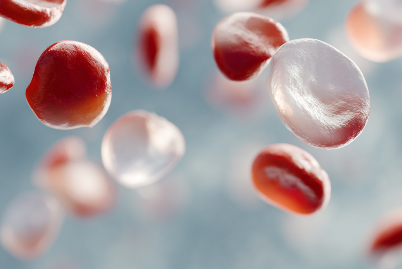 Антитела к вирусу герпеса VI типа (Human herpes virus VI), IgG