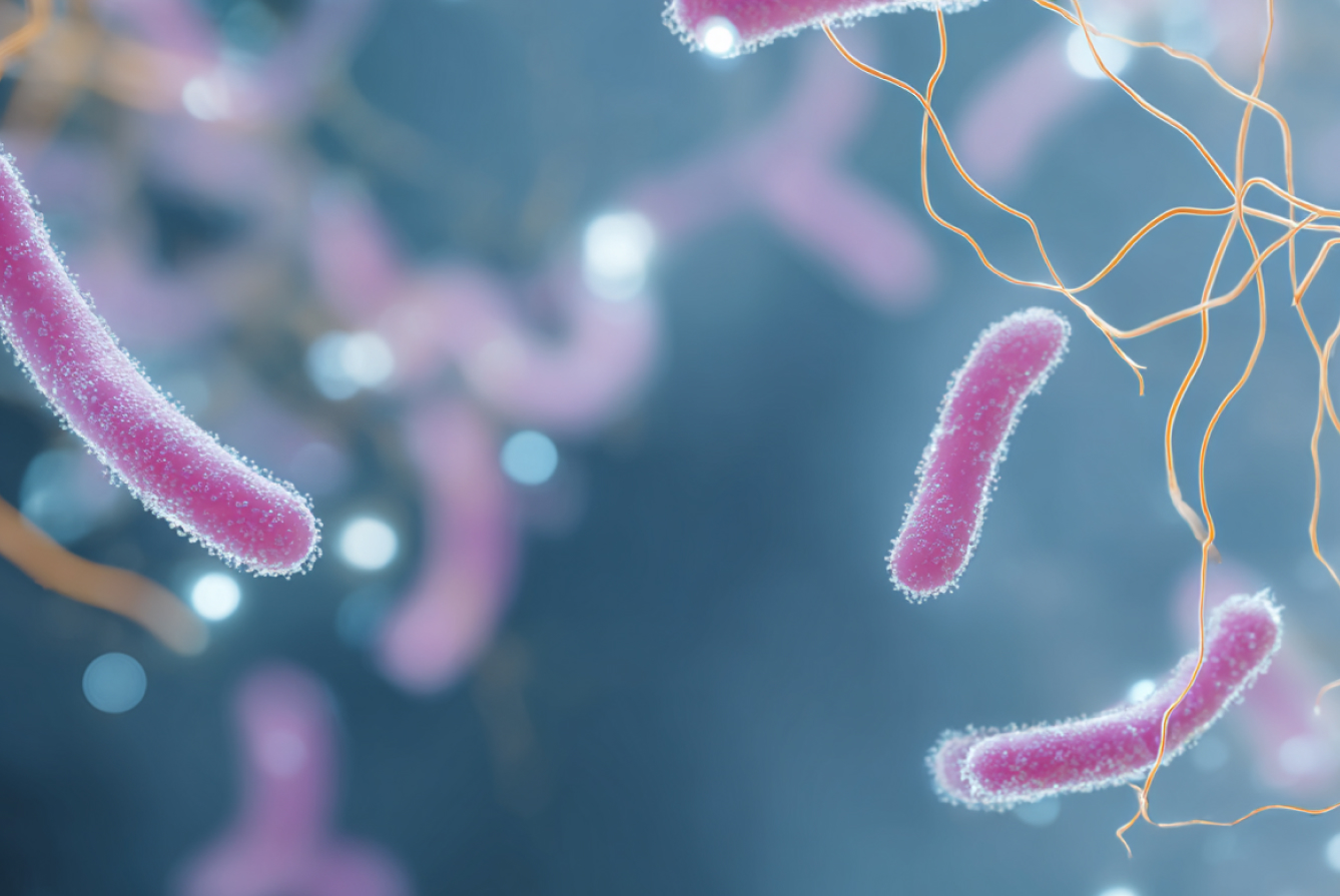 Антитела к Helicobacter pylori, IgG